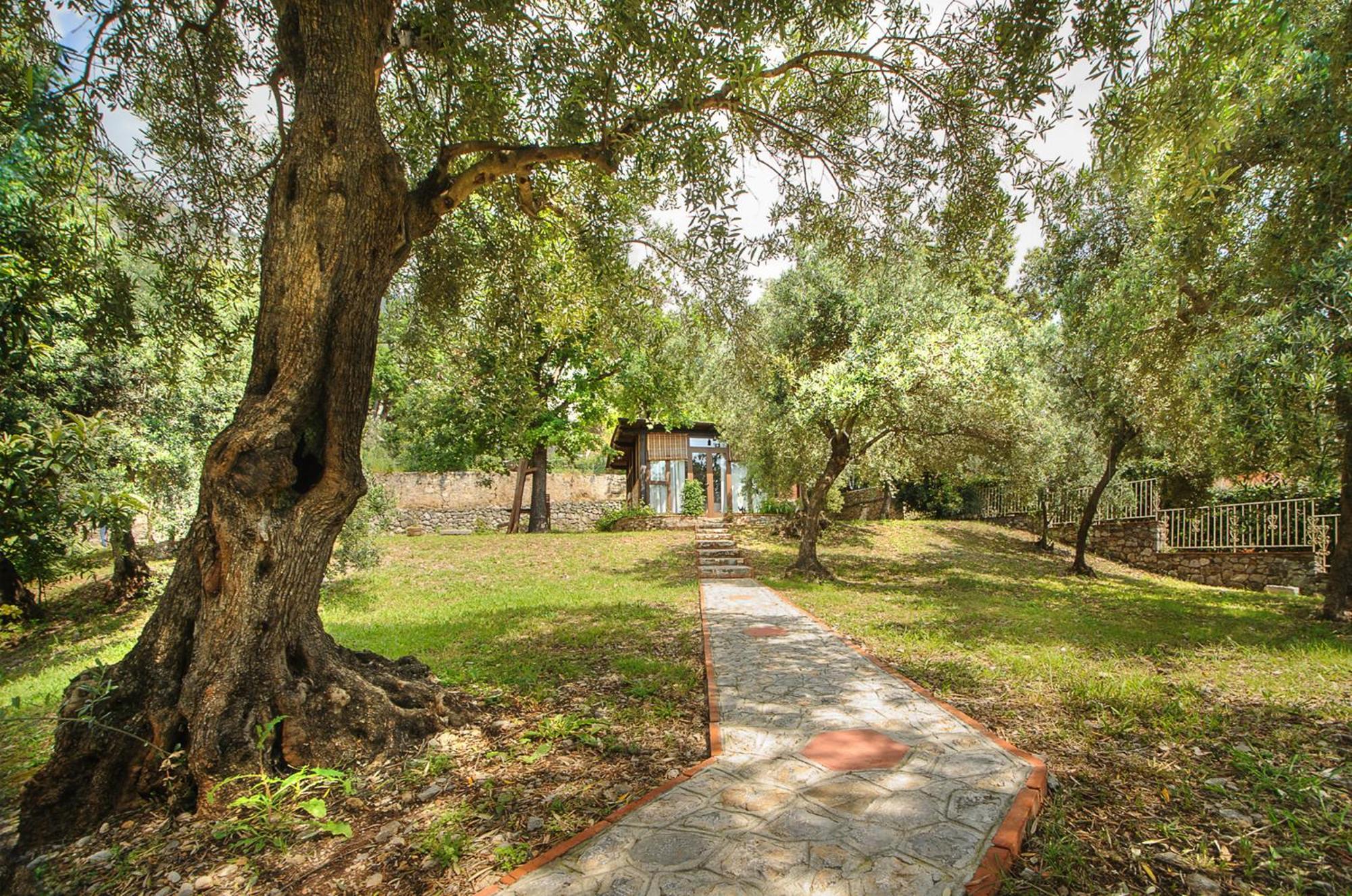 B&B La Torretta Maratea Luaran gambar